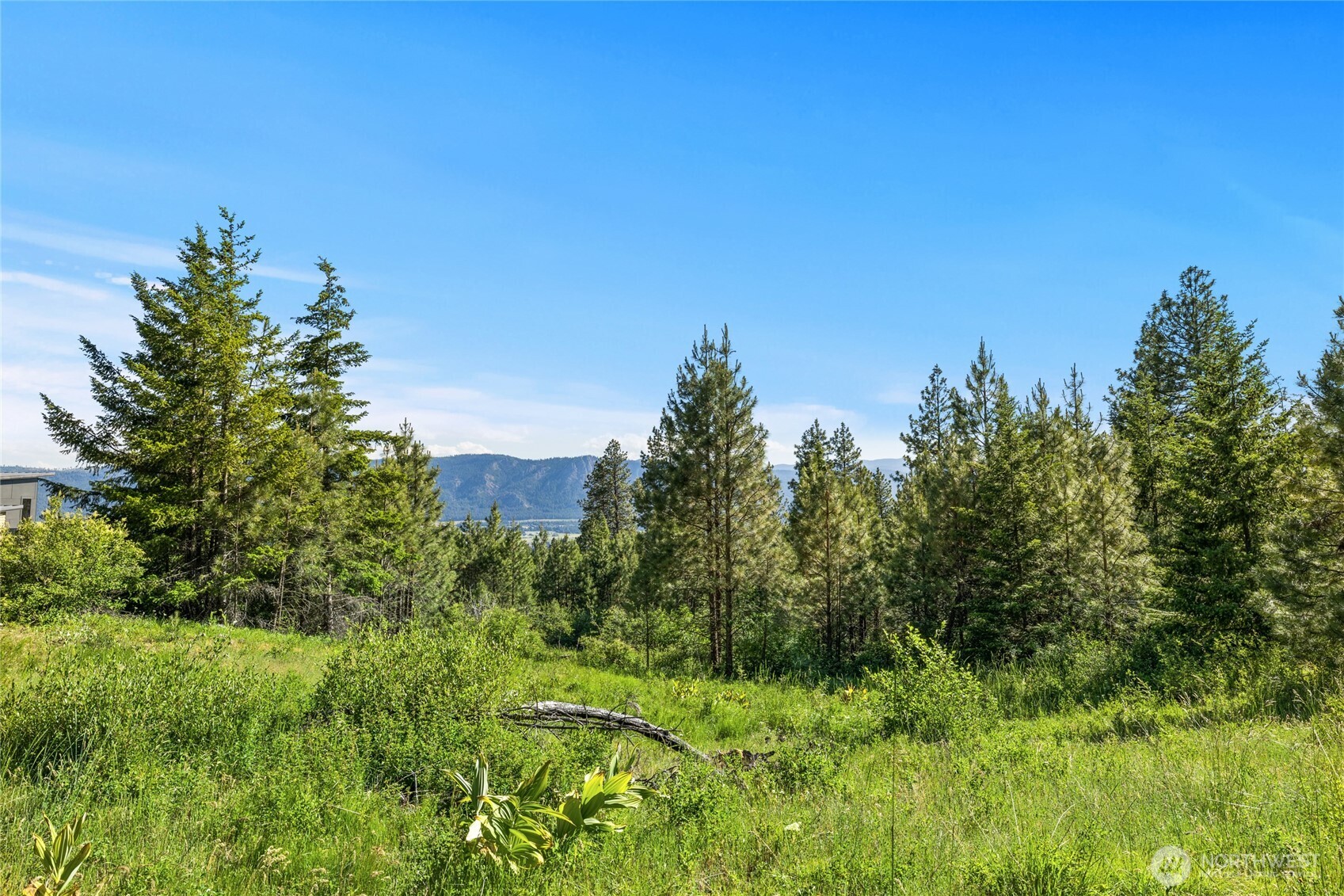29 Frst Rdg Drive Cle Elum, WA 98922 - Photo 4 of 26 a view of a garden