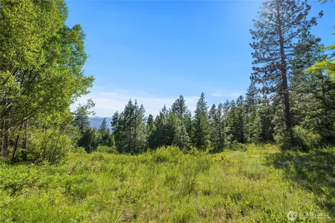 a view of a lush green space