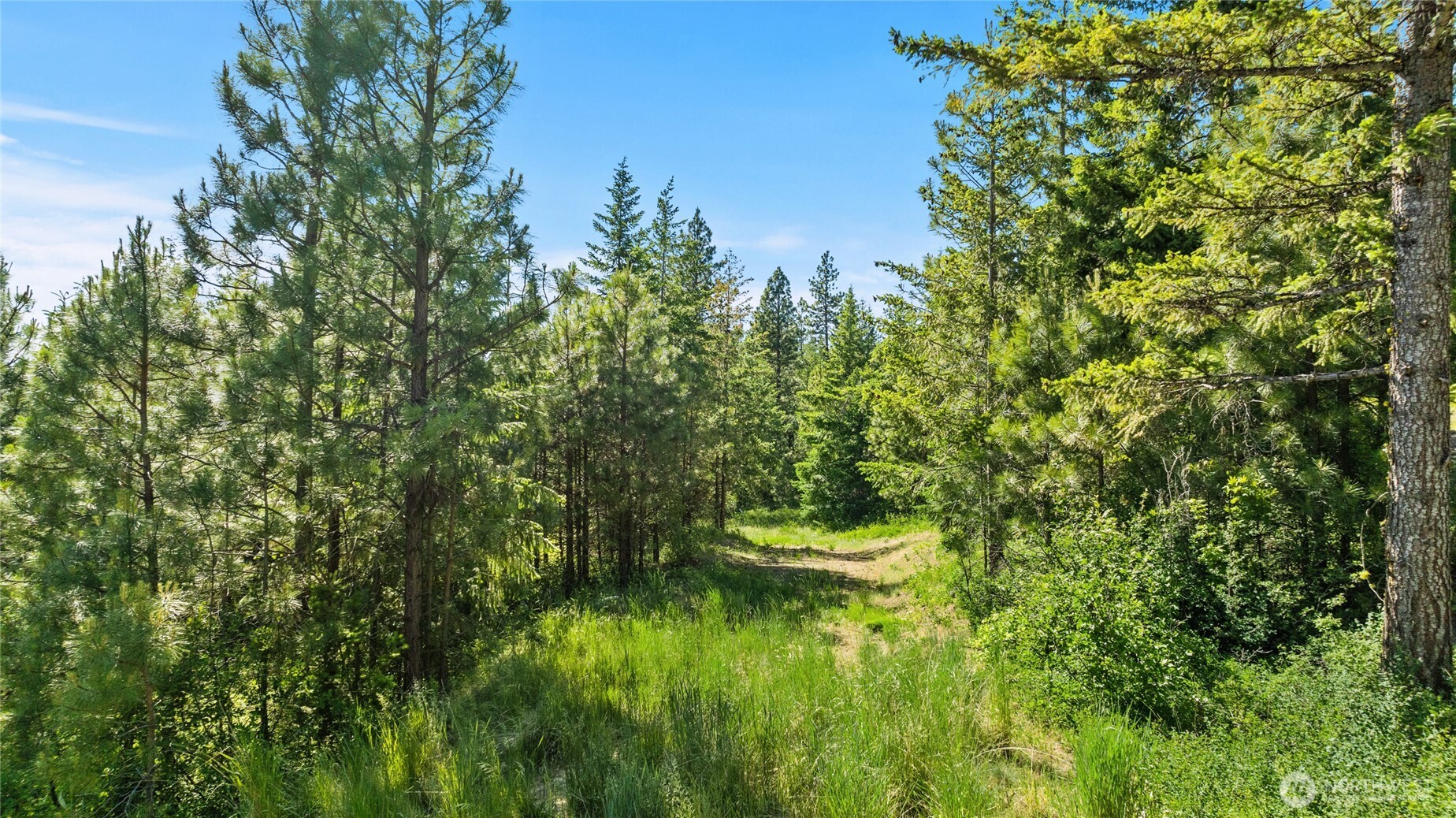 29 Frst Rdg Drive Cle Elum, WA 98922 - Photo 8 of 26 a view of a lake with a tree in the background