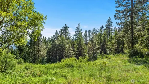 a view of a lush green space
