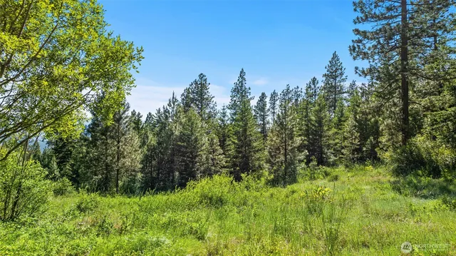 a view of a lush green space