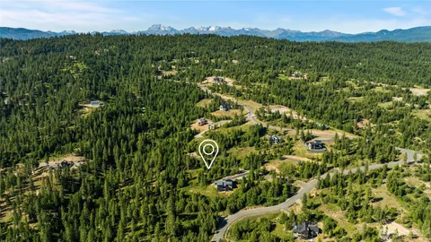 an aerial view of residential houses with outdoor space and trees
