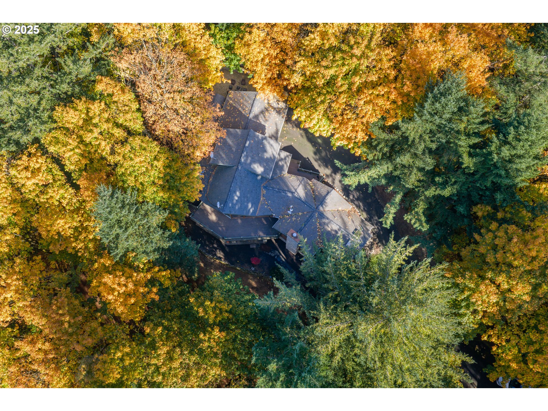6894 Prospect Ridge Road South Salem, OR 97306 - Photo 46 of 48 a aerial view of house with yard and mountain in the background