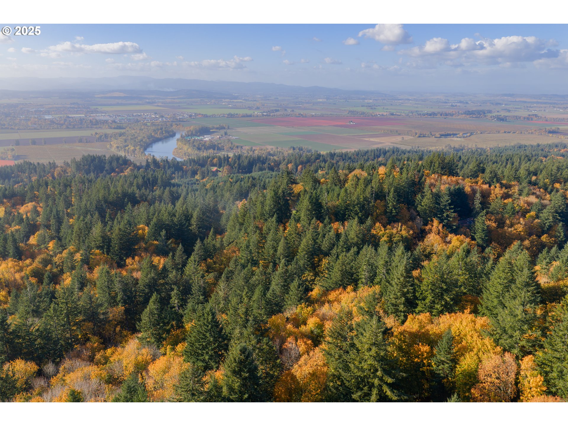 6894 Prospect Ridge Road South Salem, OR 97306 - Photo 47 of 48 a view of city and green space