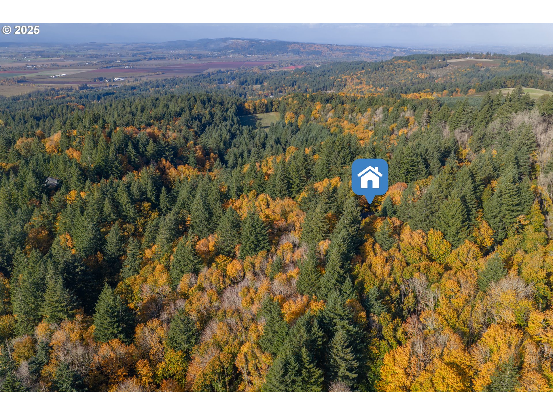 6894 Prospect Ridge Road South Salem, OR 97306 - Photo 48 of 48 a view of lake and mountain