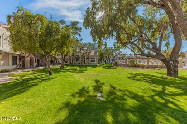 a view of a park with large trees
