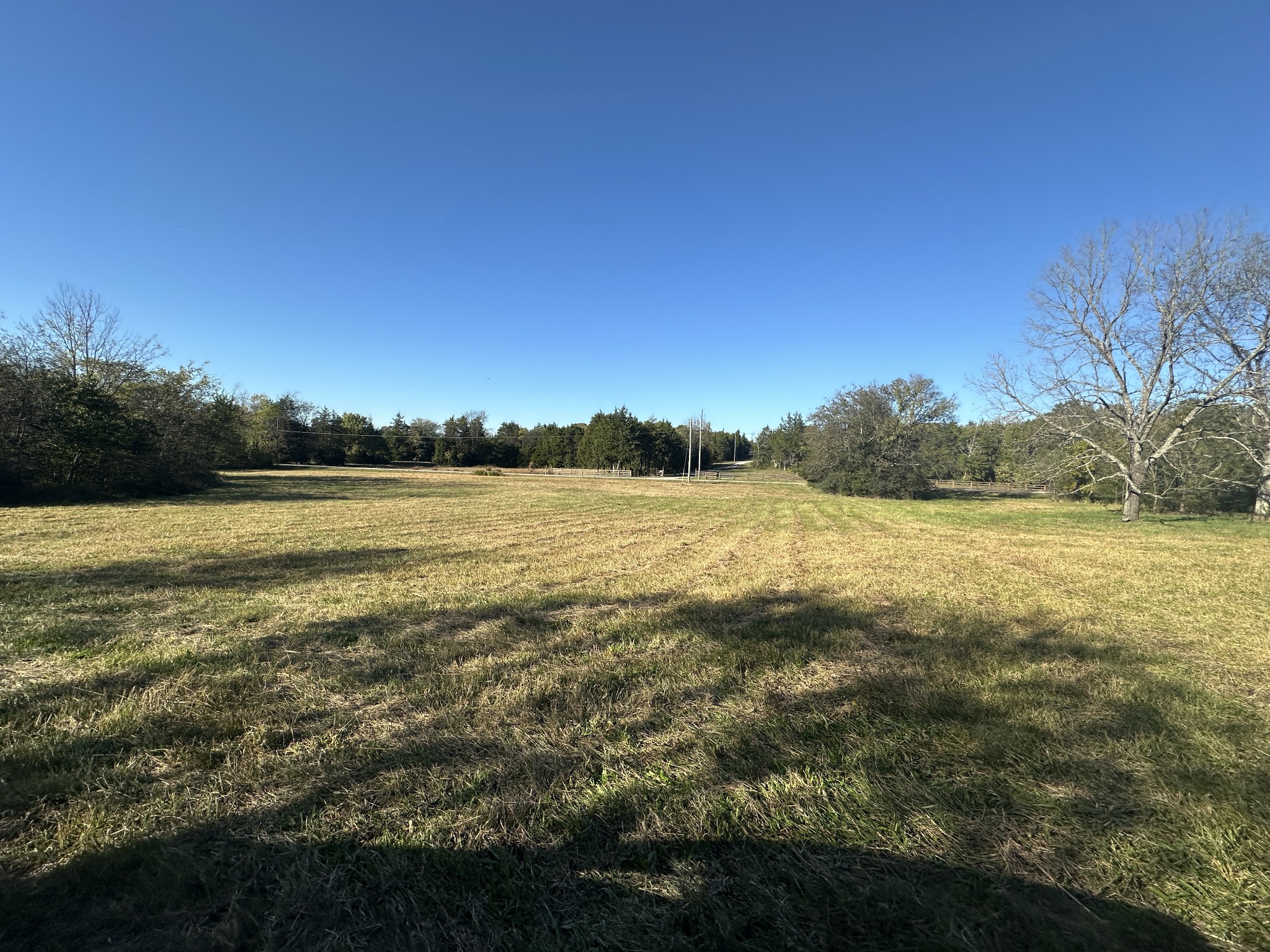 8625 Webb Road College Grove, TN 37046 - Photo 4 of 5 a view of outdoor space and yard