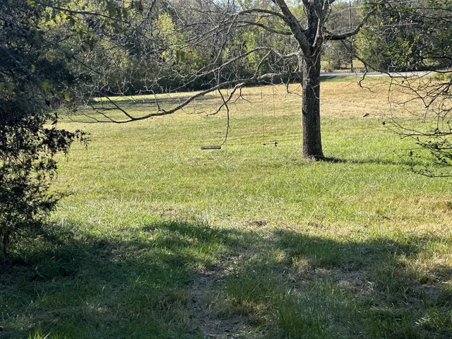 a view of a yard with a tree