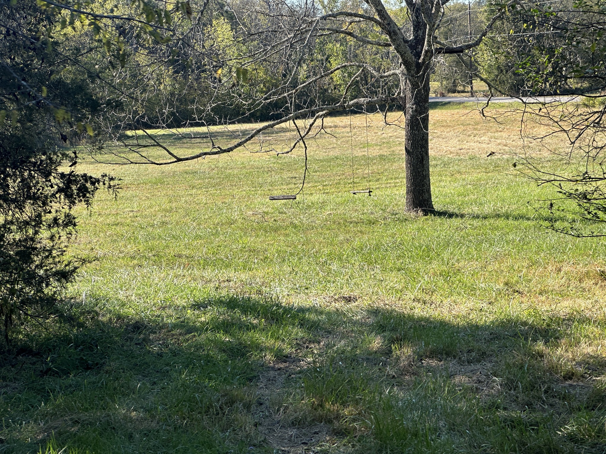 8625 Webb Road College Grove, TN 37046 - Photo 5 of 5 a view of a yard with a tree