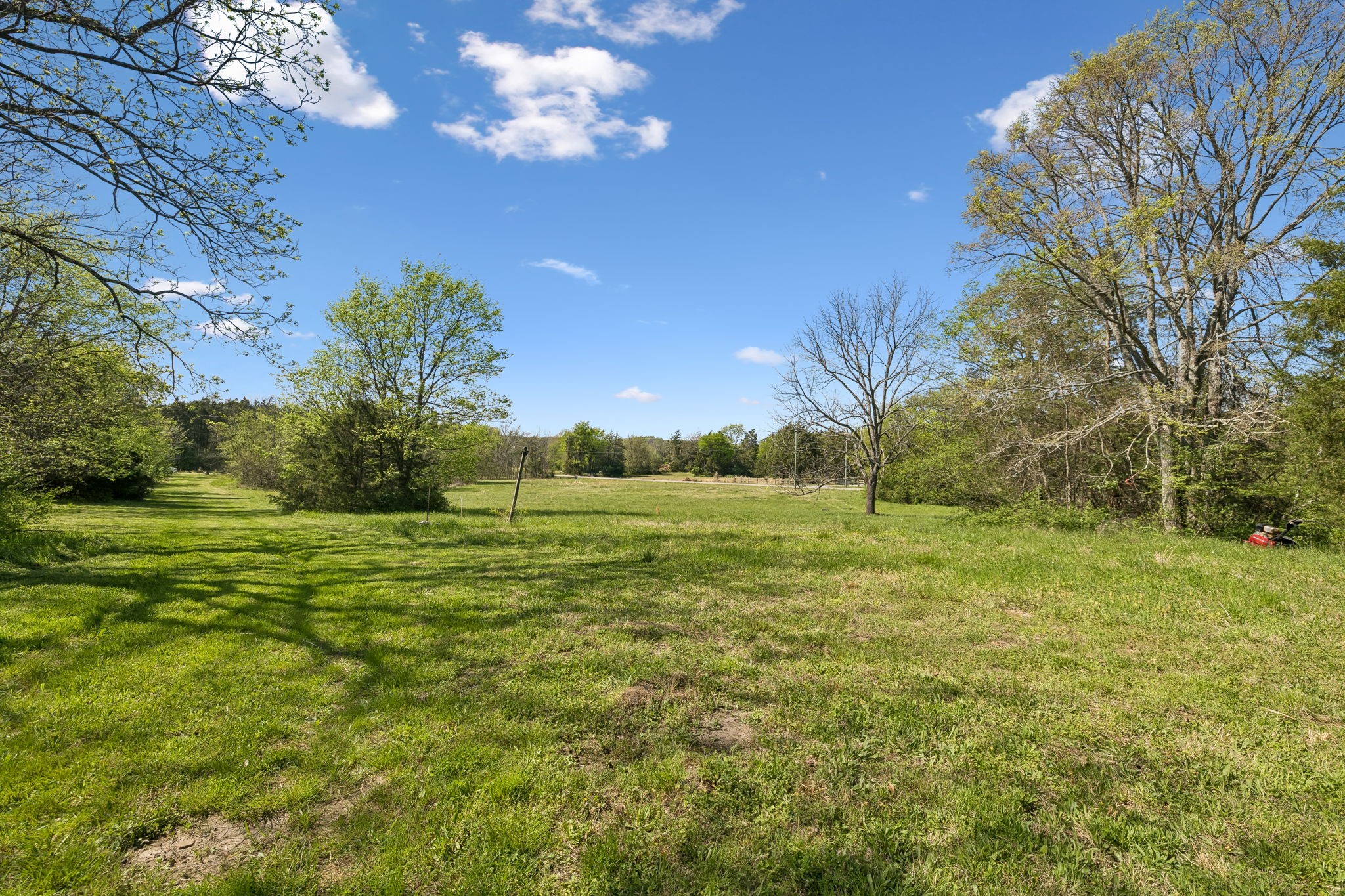 8625 Webb Road College Grove, TN 37046 - Photo 8 of 25 Gallery Image 8