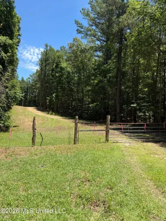 $664,000 | Walker Road, Newton, MS 39345