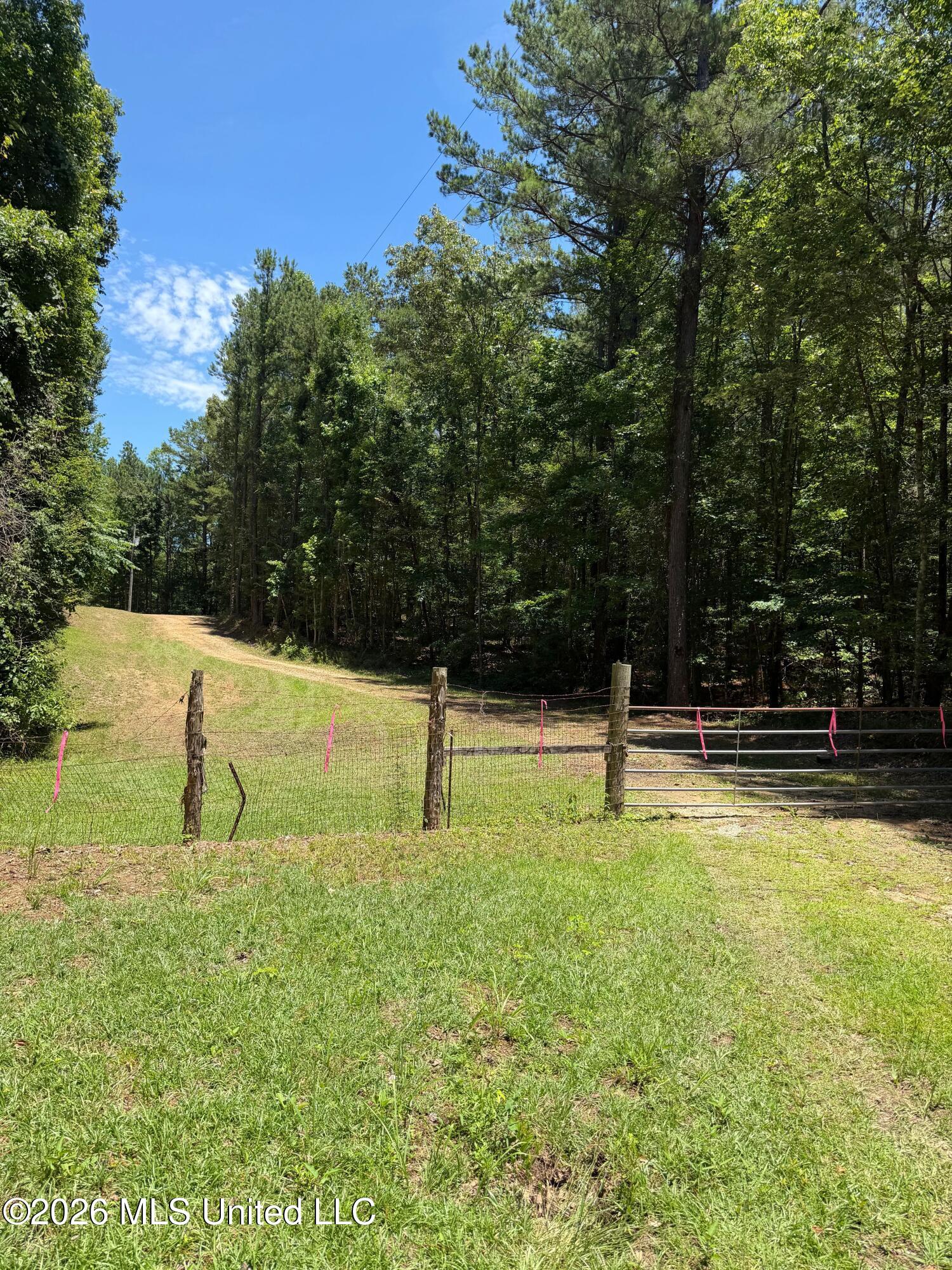 Walker Road Newton, MS 39345 - Photo 1 of 13 IMG_7016 - Copy