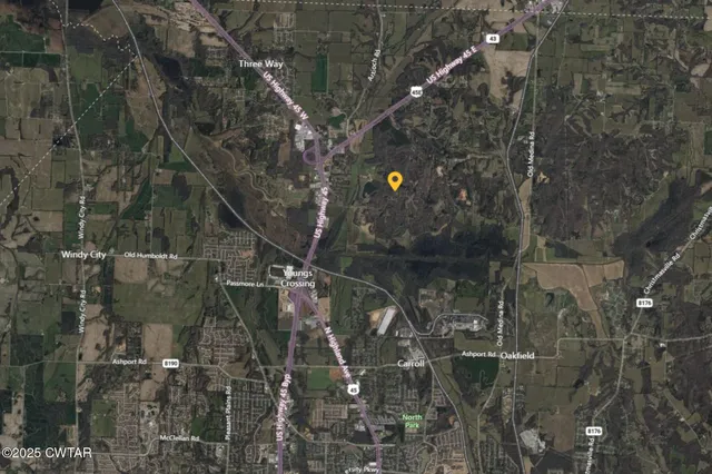 a picture of street light