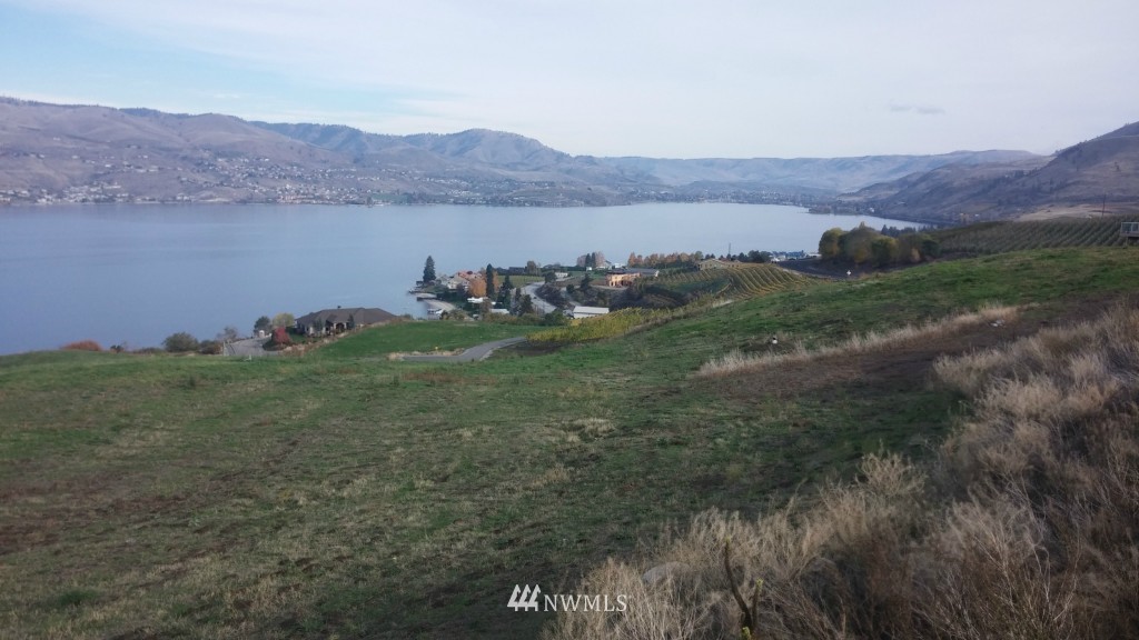 153 Clos Chevalle Road Chelan, WA 98816 - Photo 5 of 6 Gallery Image 5