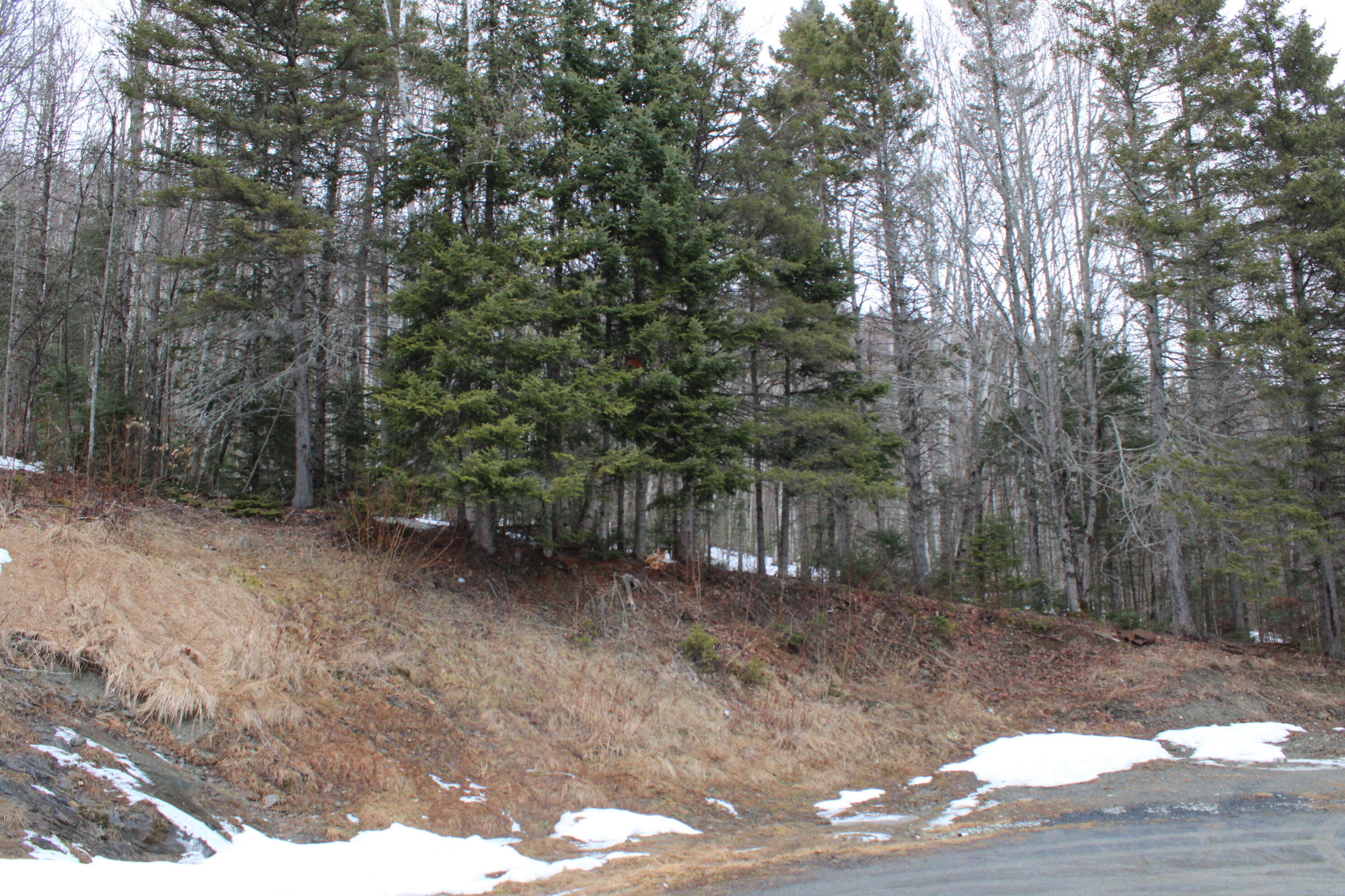 2563 Aroostook Road Eagle Lake, ME 04739 - Photo 7 of 19 IMG_0630