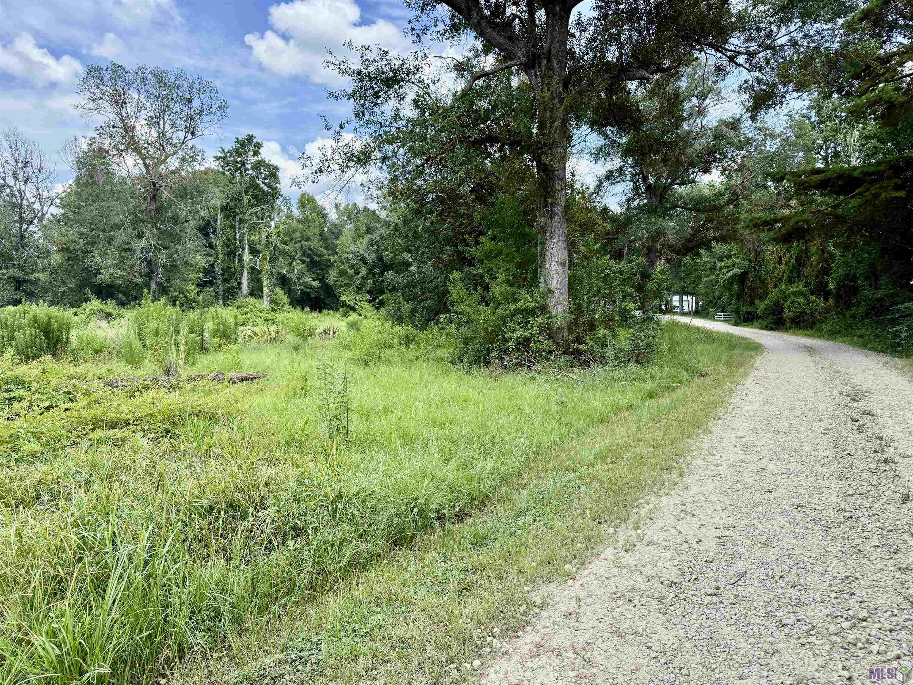 36301 Ruby Moore Road Denham Springs, LA 70706 - Photo 3 of 3