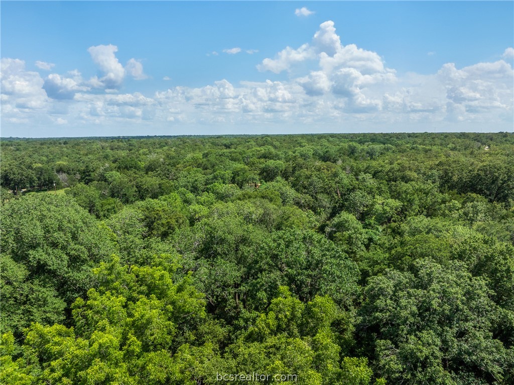 Tbd Weber Road Bryan, TX 77808 - Photo 24 of 43