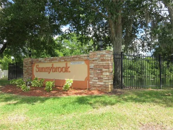 a view of a park with palm trees
