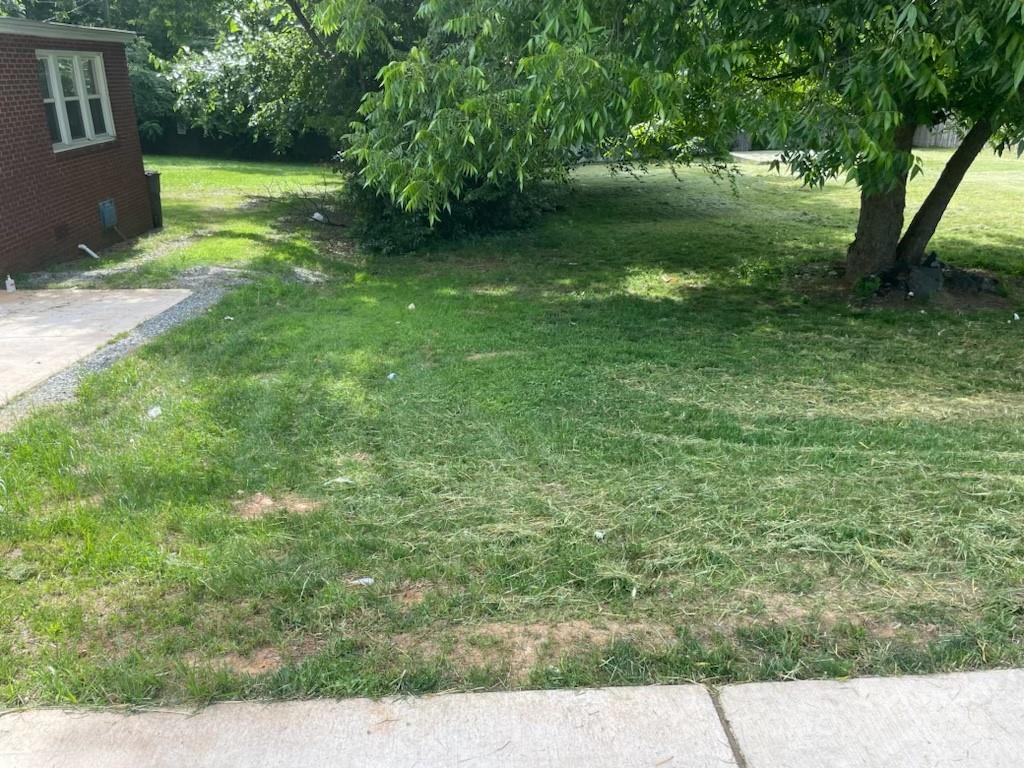 1915 Beatties Ford Road Charlotte, NC 28216 - Photo 5 of 5 a view of yard with green space
