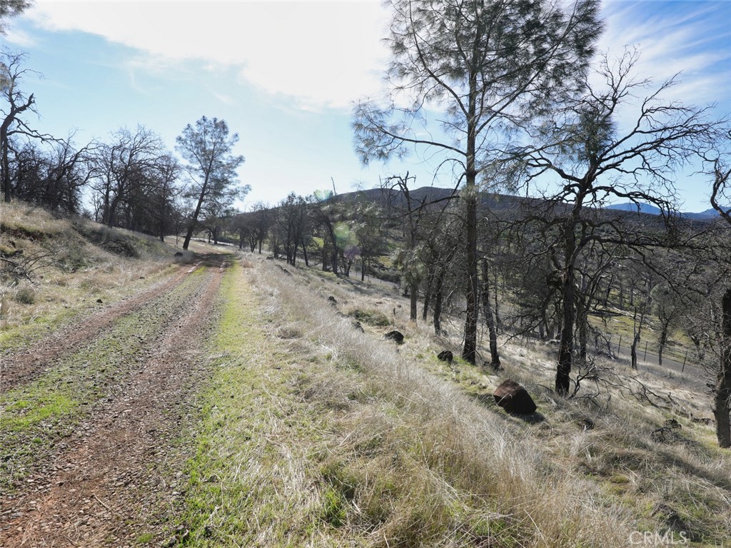 19755 Grange Road Middletown, CA 95461 - Photo 18 of 45 a view of a dry yard with trees