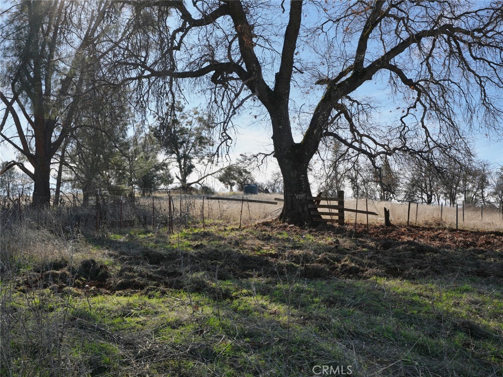 19755 Grange Road Middletown, CA 95461 - Photo 2 of 45 a view of backyard with green space