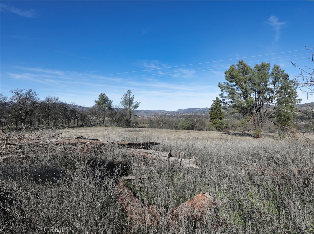 19755 Grange Road Middletown, CA 95461 - Photo 21 of 45 a view of a field of grass and trees