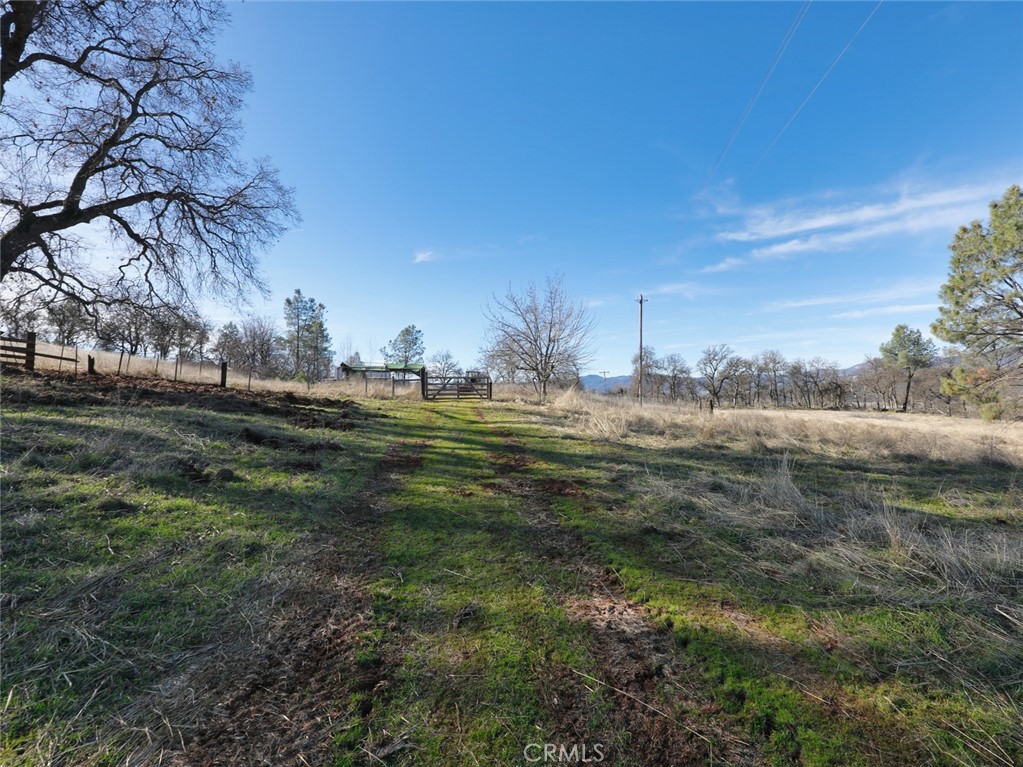 19755 Grange Road Middletown, CA 95461 - Photo 24 of 45 a view of outdoor space with trees all around