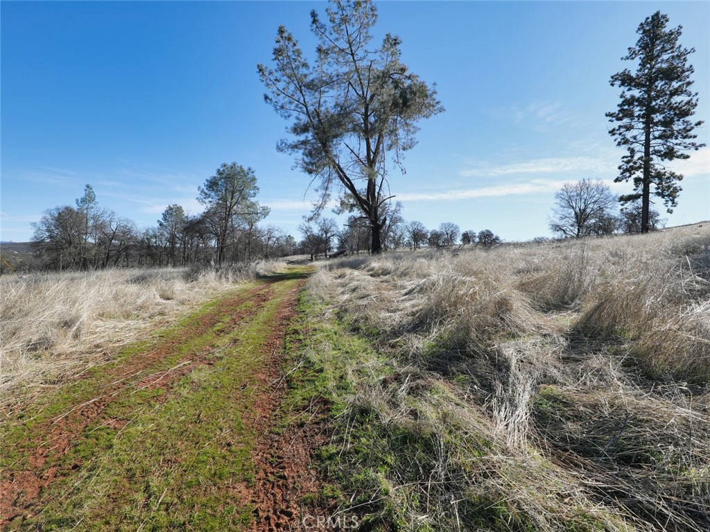 19755 Grange Road Middletown, CA 95461 - Photo 26 of 45 a view of a field with a tree