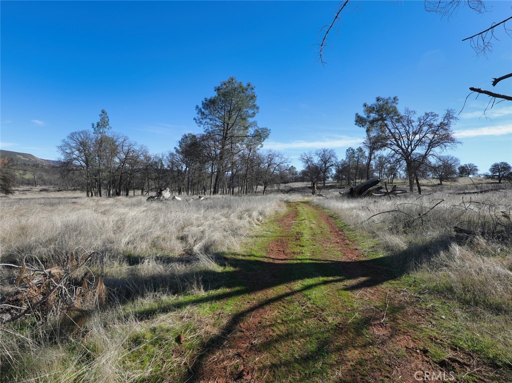19755 Grange Road Middletown, CA 95461 - Photo 28 of 45 a view of a backyard of a house