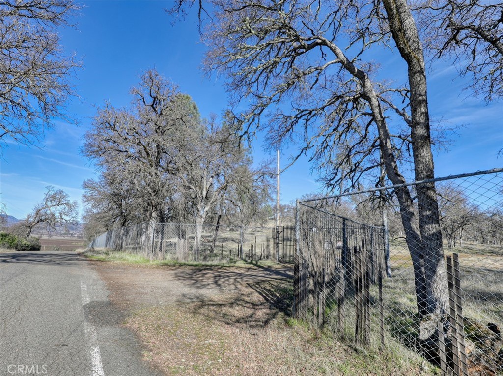 19755 Grange Road Middletown, CA 95461 - Photo 3 of 45 a view of a yard with a tree