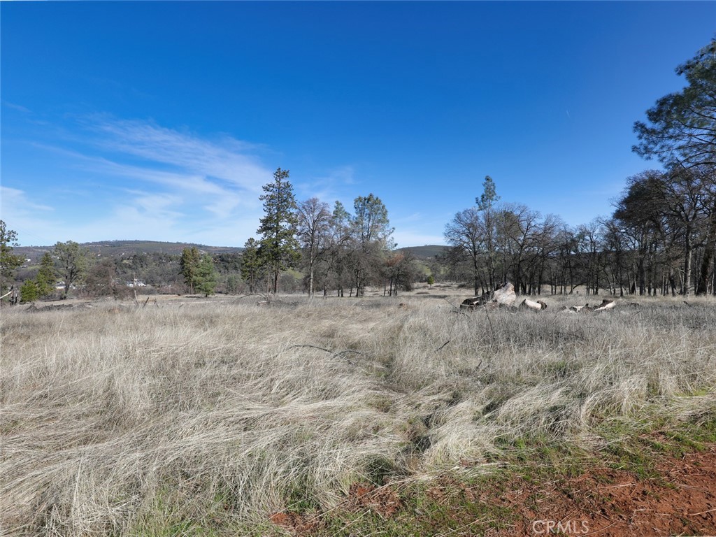 19755 Grange Road Middletown, CA 95461 - Photo 31 of 45 a view of a dry grass field
