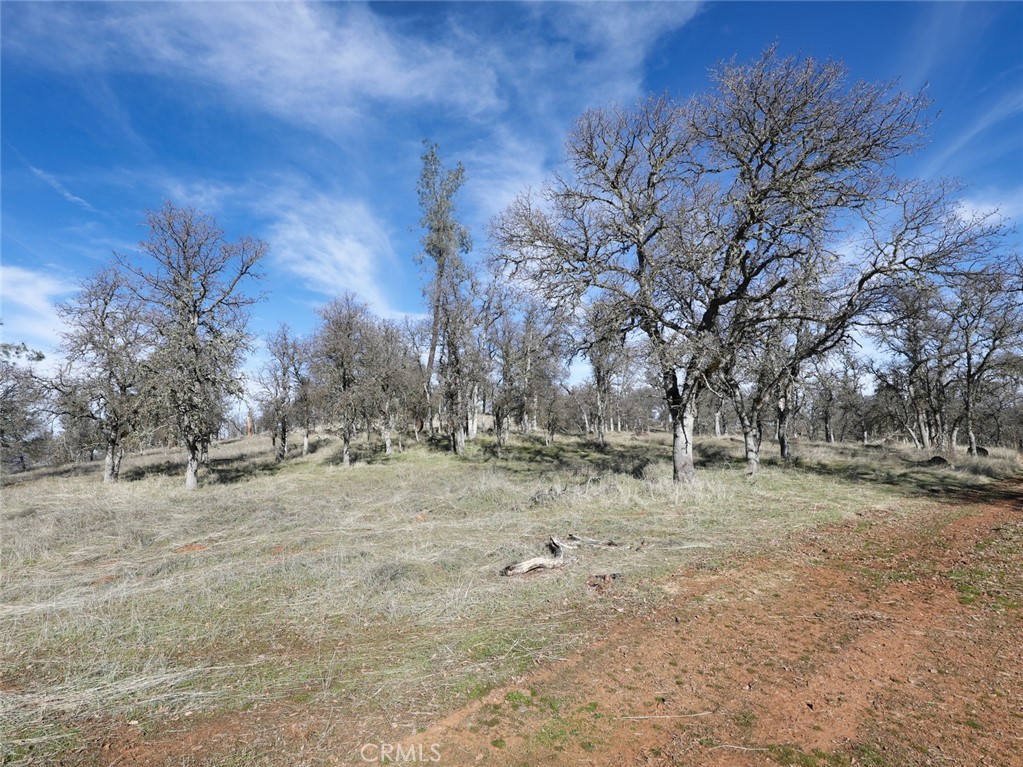 19755 Grange Road Middletown, CA 95461 - Photo 36 of 45 a fire hydrant in the middle of a field
