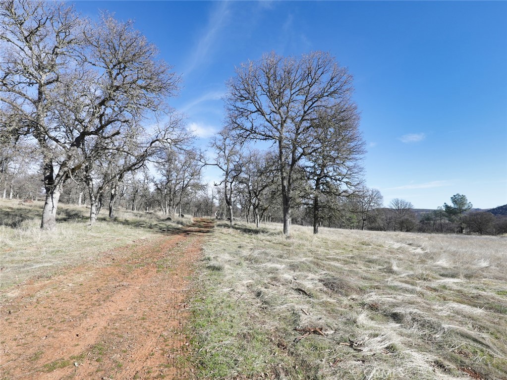 19755 Grange Road Middletown, CA 95461 - Photo 37 of 45 a view of dirt yard with a tree