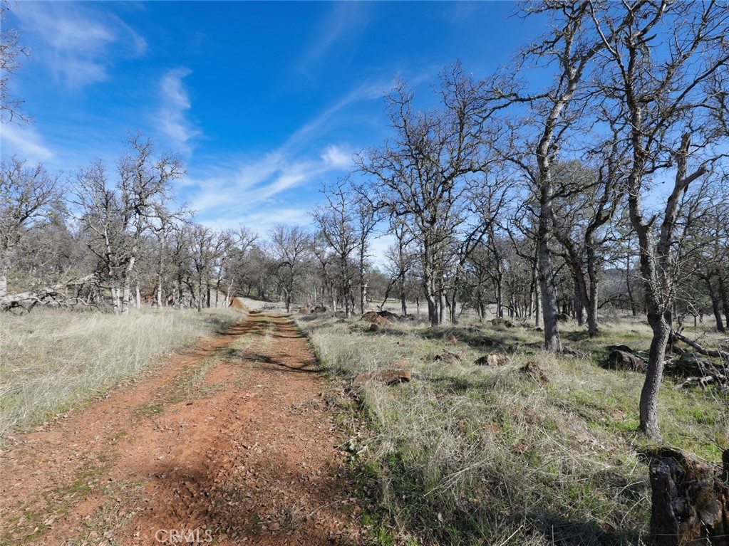 19755 Grange Road Middletown, CA 95461 - Photo 38 of 45 a view of dirt yard with a large tree