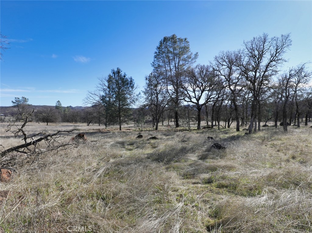 19755 Grange Road Middletown, CA 95461 - Photo 40 of 45 a view of outdoor space with trees