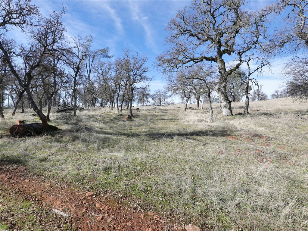 19755 Grange Road Middletown, CA 95461 - Photo 41 of 45 a view of a yard with large trees