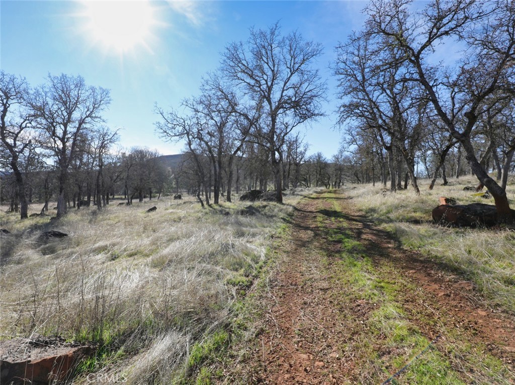 19755 Grange Road Middletown, CA 95461 - Photo 42 of 45 a view of dirt yard with a tree