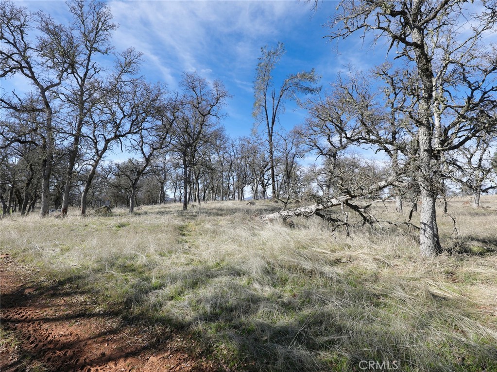 19755 Grange Road Middletown, CA 95461 - Photo 44 of 45 a view of open space with yard and trees