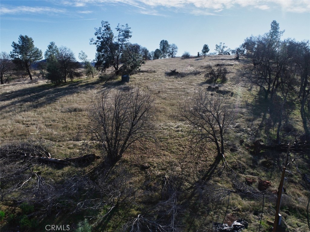 19755 Grange Road Middletown, CA 95461 - Photo 5 of 45 a view of a dry yard with trees
