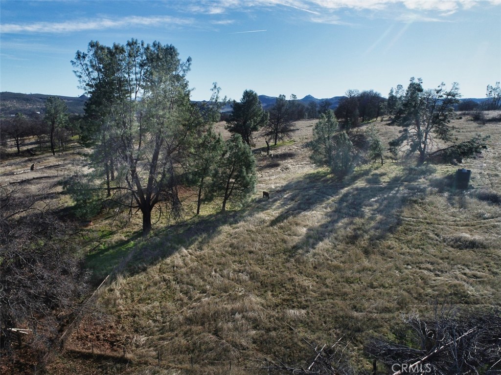 19755 Grange Road Middletown, CA 95461 - Photo 6 of 45 a view of a covered with trees in the background