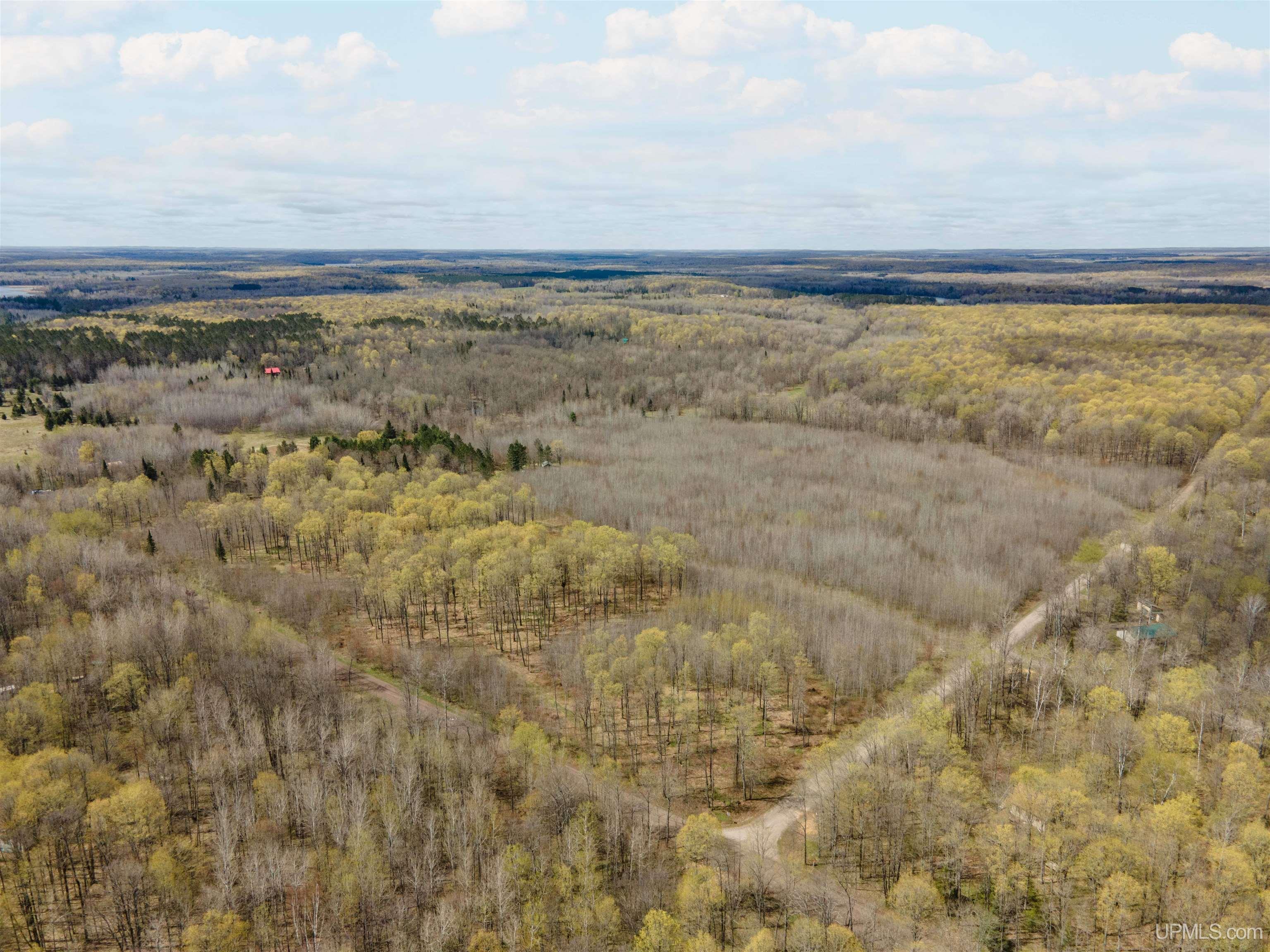 1 Easement Road, Unit LOT 1 Long Lake, WI 54542 - Photo 4 of 5