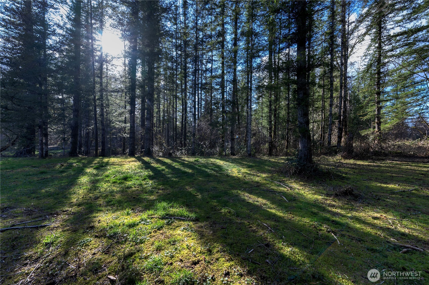 40815 Dorman Road Gold Bar, WA 98251 - Photo 21 of 25