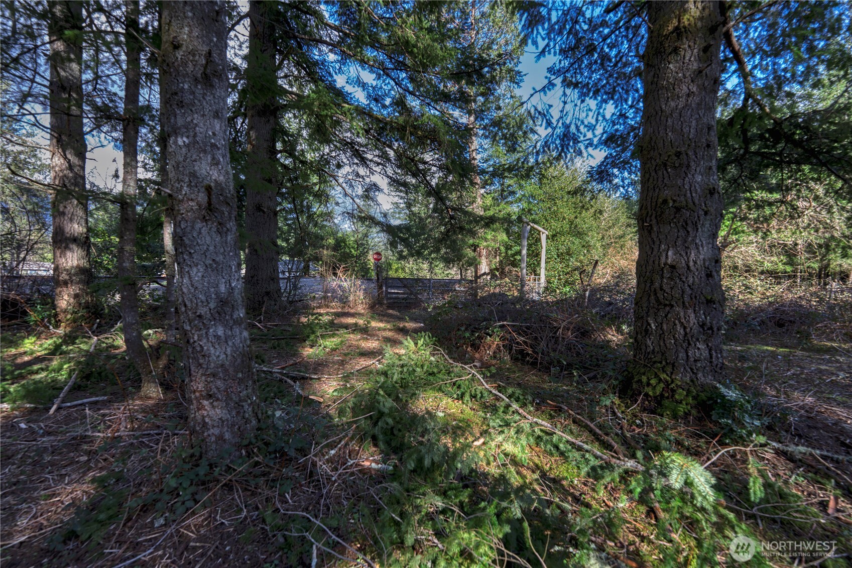 40815 Dorman Road Gold Bar, WA 98251 - Photo 22 of 25