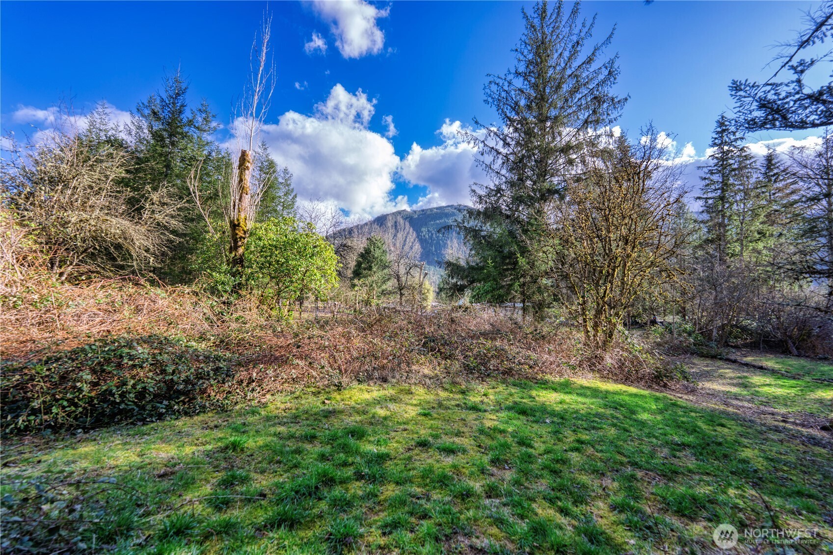 40815 Dorman Road Gold Bar, WA 98251 - Photo 23 of 25