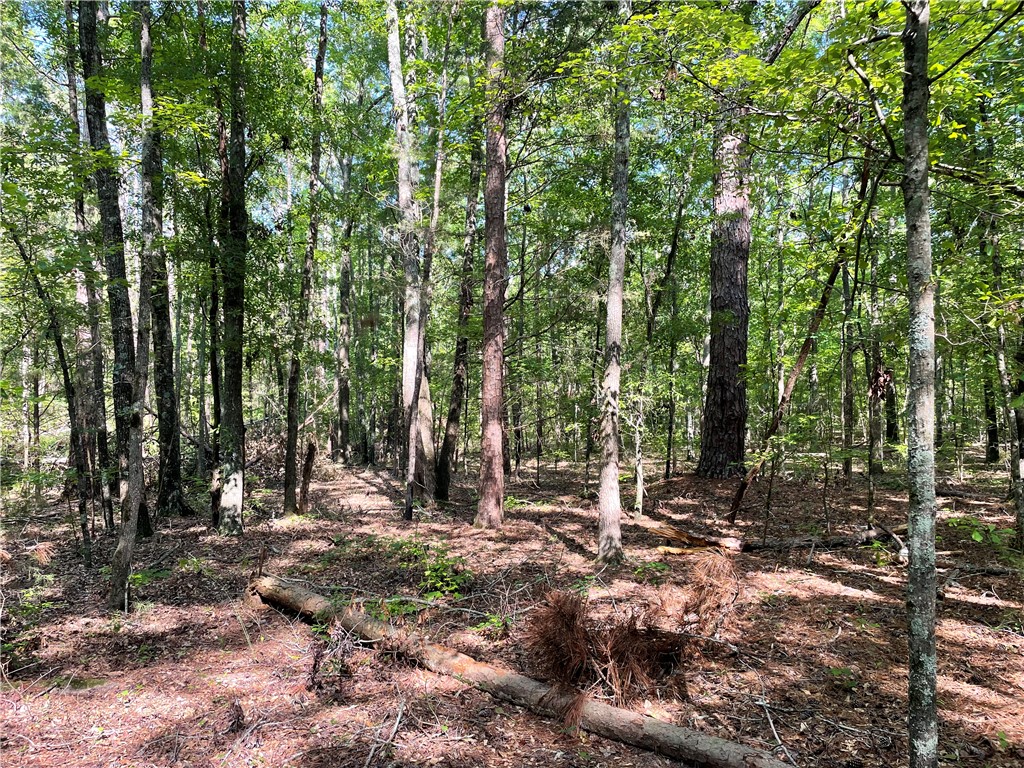 0 Clatworthy Road Honea Path, SC 29654 - Photo 23 of 27