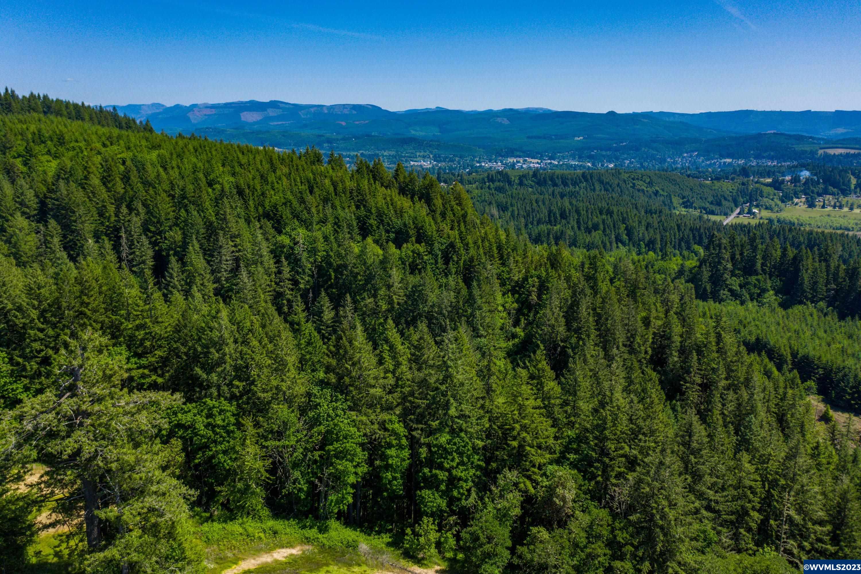 Marks Ridge Sweet Home, OR 97386 - Photo 15 of 32