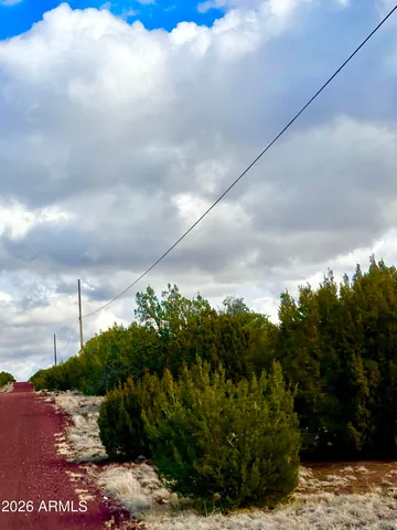 $25,000 | 14 Acr 8242, Unit 152, Show Low, AZ 85901