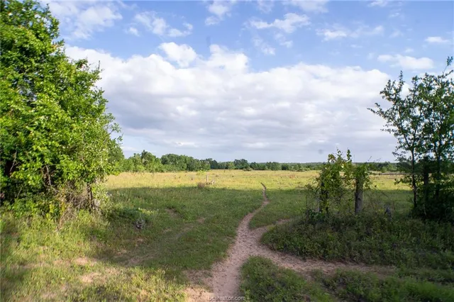a view of lake with green space