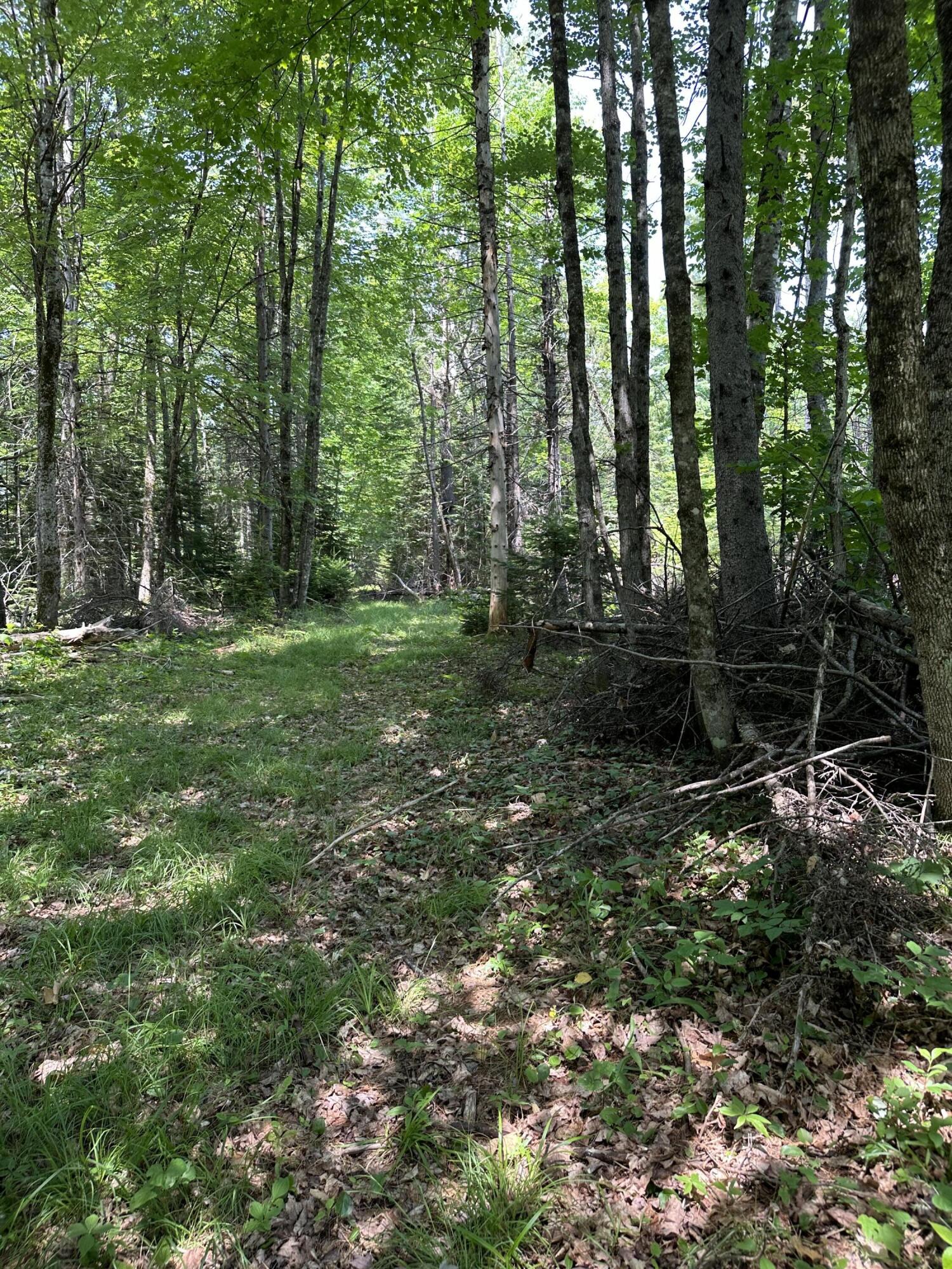 203 Ramsdell Ridge Road Milo, ME 04463 - Photo 17 of 26 IMG_1999