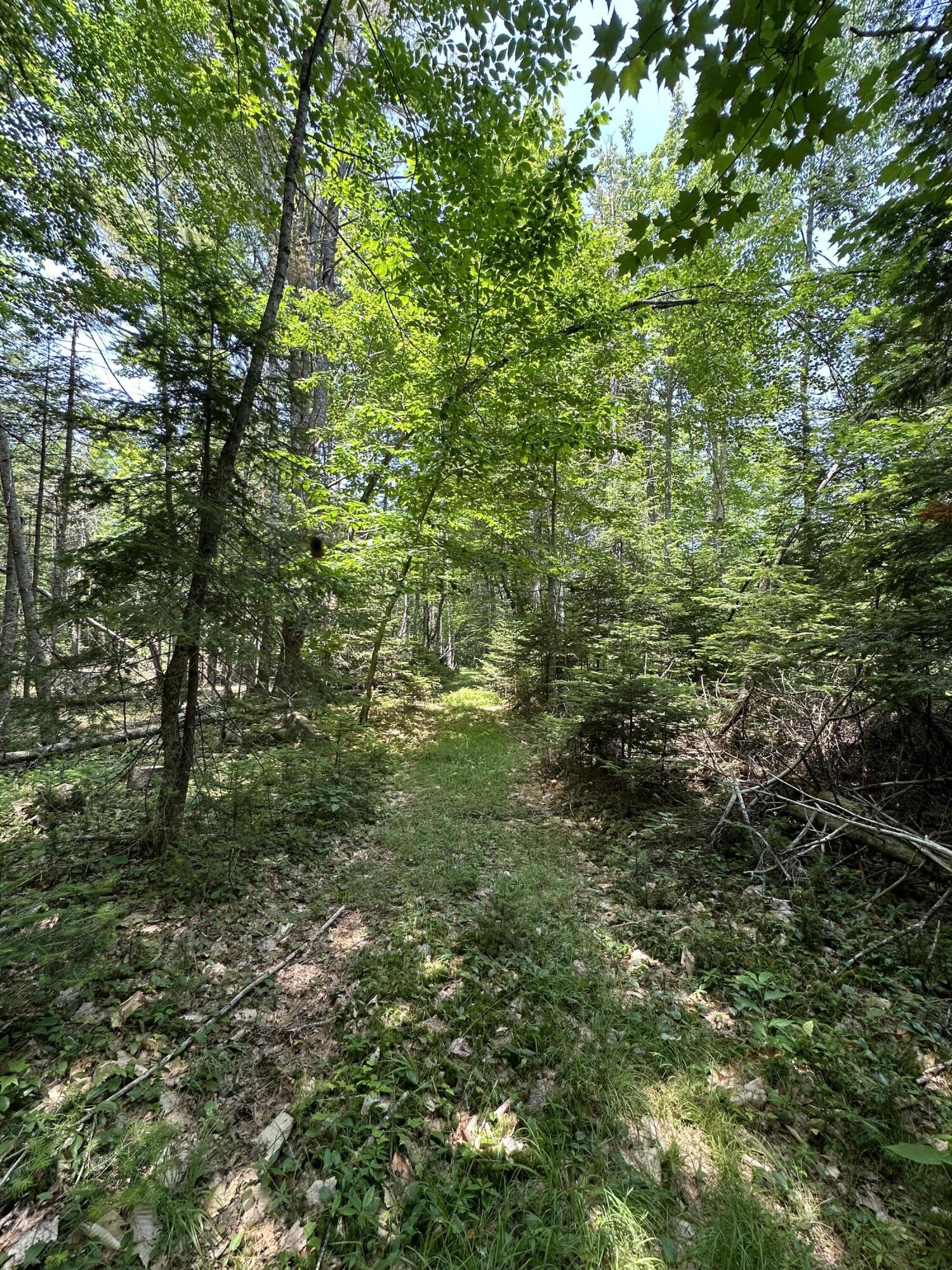 203 Ramsdell Ridge Road Milo, ME 04463 - Photo 18 of 26 IMG_2001